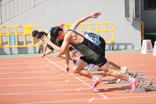該你上場了 2023中國田徑大眾達標系列賽總決賽11月底杭州開賽