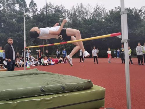 新川高一教師團隊集結完畢，初升高銜接盛會邀您共襄其舉